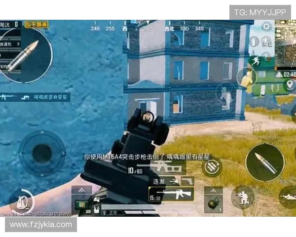 和平精英战术深度解析：BLG战队的策略与执行力探讨