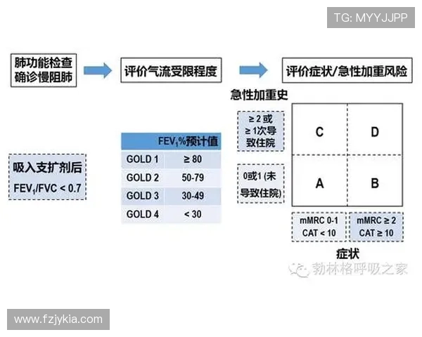 杭州排球队总决赛战术分析与表现评估全面解读
