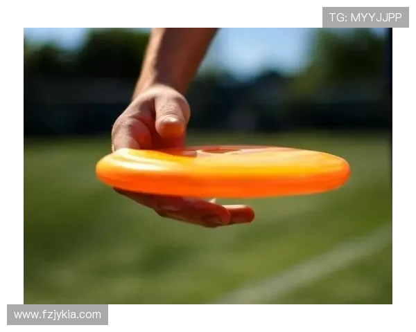 飞盘战术揭秘南京飞盘队如何运用快攻制胜对手